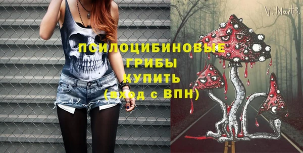 стафф Армянск