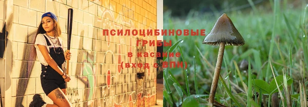 стафф Армянск