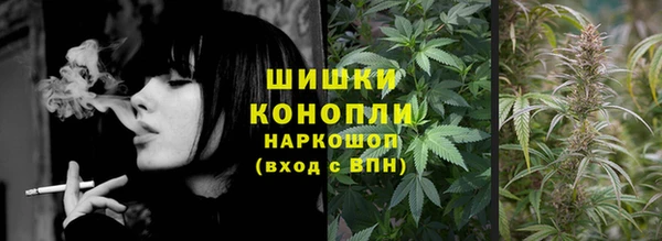 прущие крисы Арсеньев