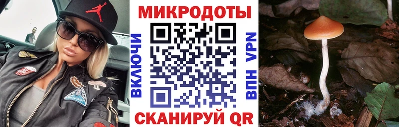 магазин продажи Балабаново Галлюциногенные грибы Psilocybine cubensis